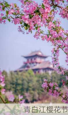 青白江樱花节