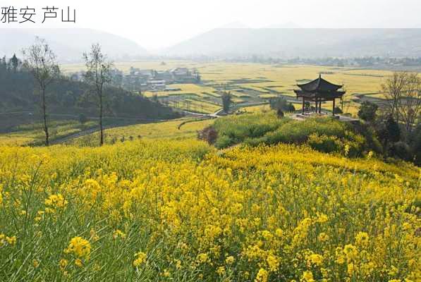 雅安 芦山