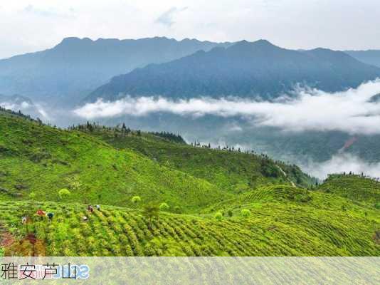 雅安 芦山