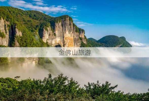 金佛山旅游