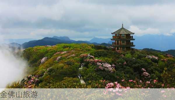 金佛山旅游