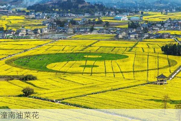 潼南油菜花