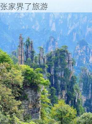 张家界了旅游