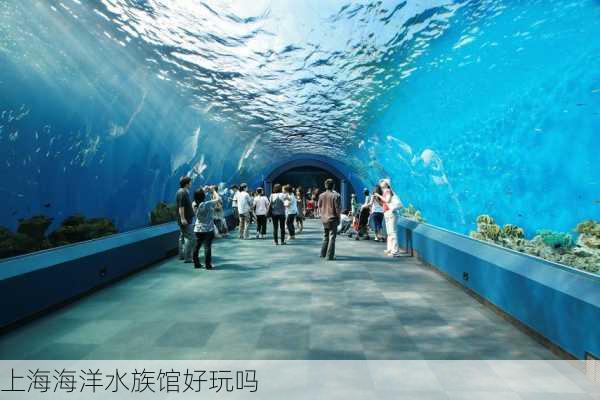 上海海洋水族馆好玩吗