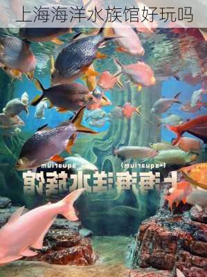 上海海洋水族馆好玩吗