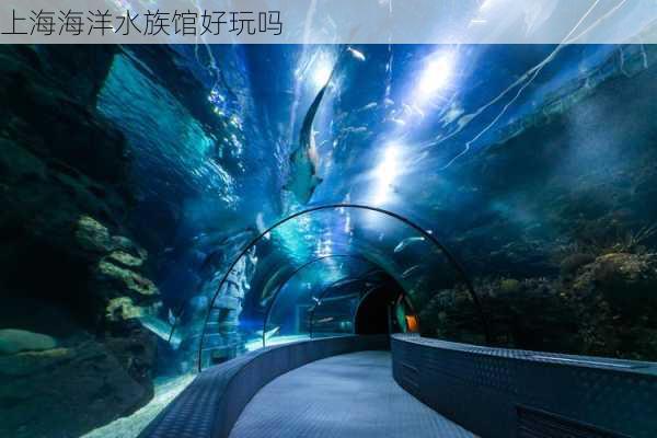 上海海洋水族馆好玩吗