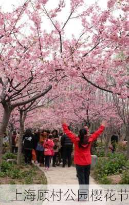 上海顾村公园樱花节