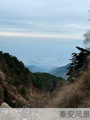 泰安风景