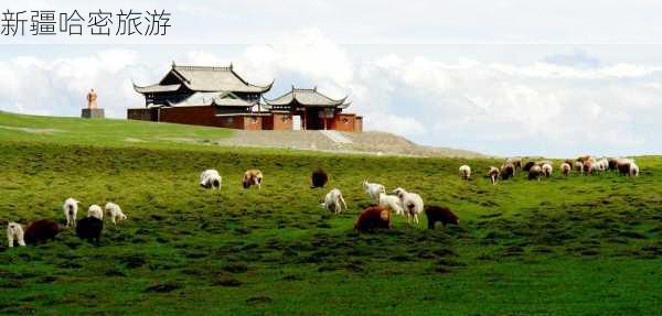 新疆哈密旅游