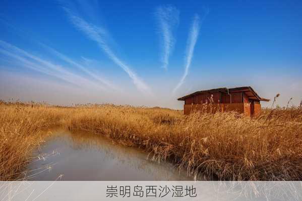 崇明岛西沙湿地