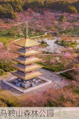 马鞍山森林公园