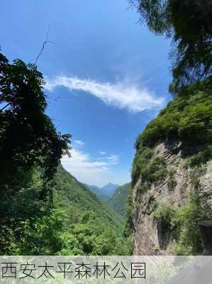 西安太平森林公园