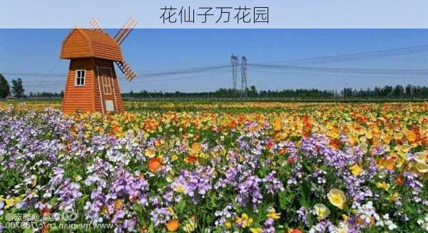 花仙子万花园