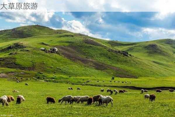 大草原旅游