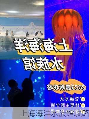 上海海洋水族馆攻略