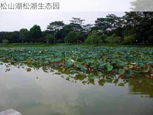 松山湖松湖生态园