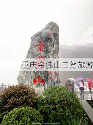 重庆金佛山自驾旅游