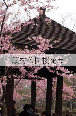 顾村公园樱花节