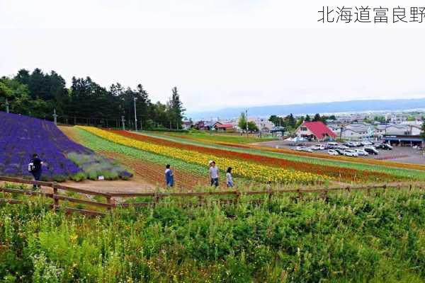 北海道富良野