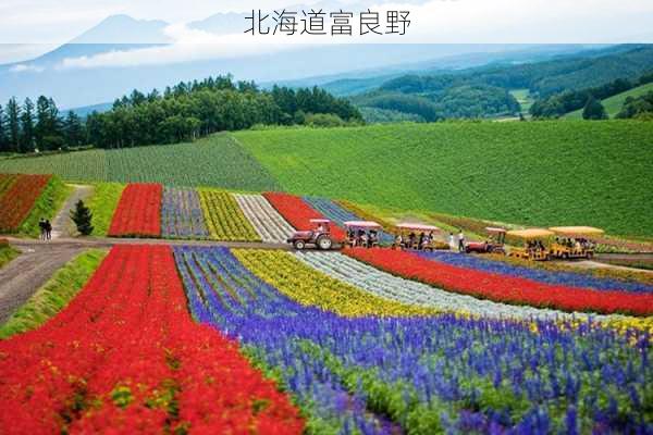 北海道富良野