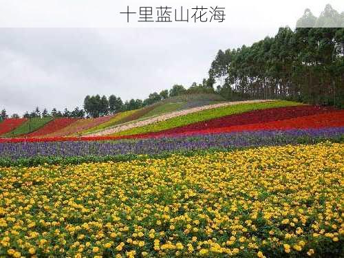 十里蓝山花海