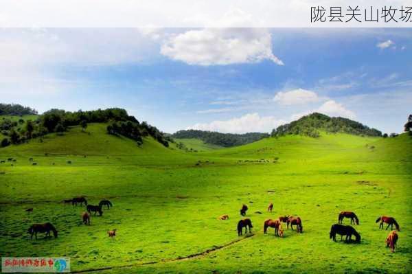 陇县关山牧场