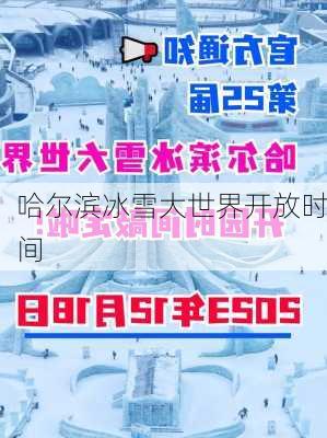 哈尔滨冰雪大世界开放时间