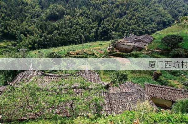 厦门西坑村