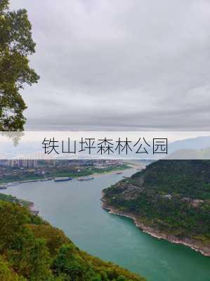 铁山坪森林公园