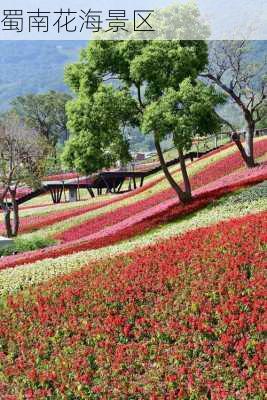 蜀南花海景区