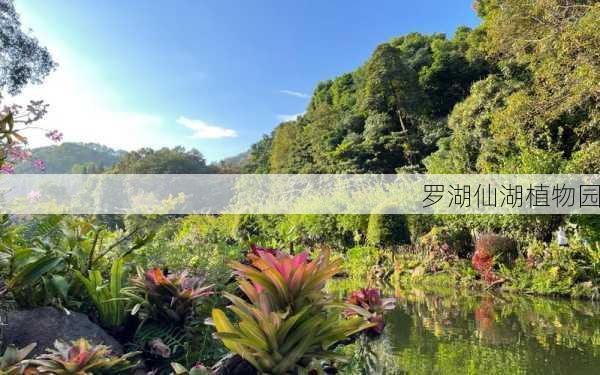 罗湖仙湖植物园