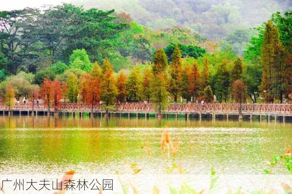 广州大夫山森林公园