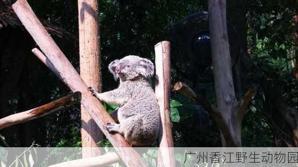 广州香江野生动物园