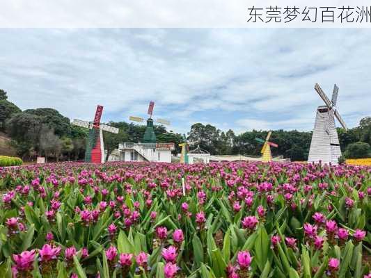 东莞梦幻百花洲