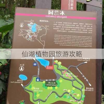 仙湖植物园旅游攻略