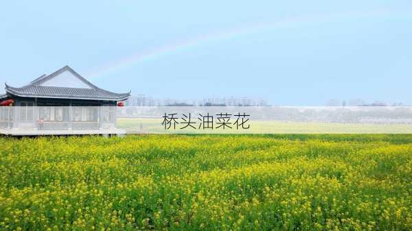 桥头油菜花