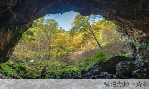 镜泊湖地下森林