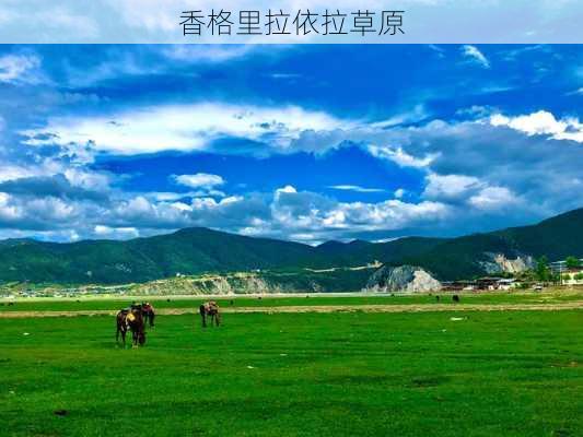 香格里拉依拉草原