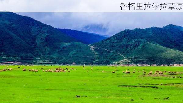 香格里拉依拉草原