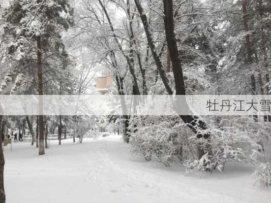 牡丹江大雪