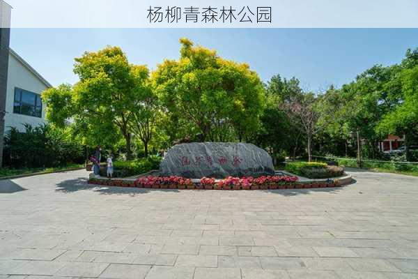 杨柳青森林公园