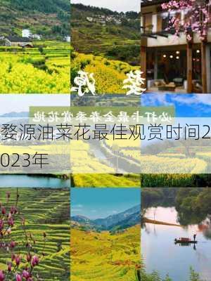 婺源油菜花最佳观赏时间2023年