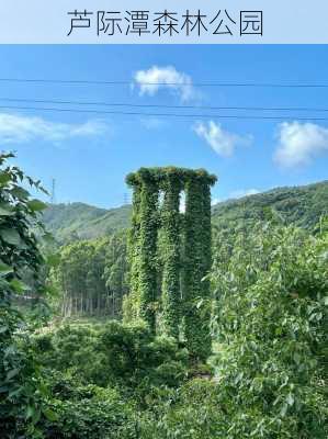 芦际潭森林公园