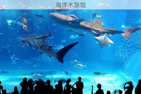 海洋水族馆