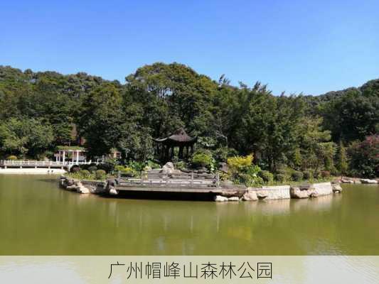 广州帽峰山森林公园