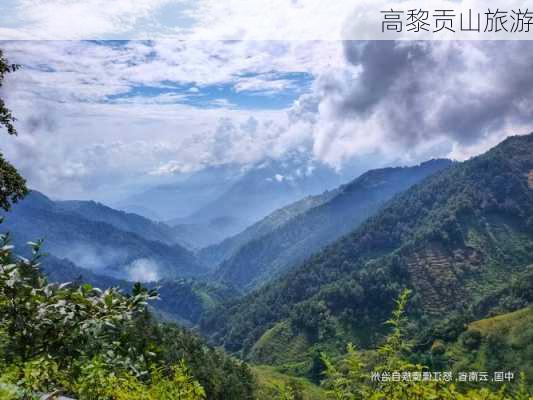 高黎贡山旅游