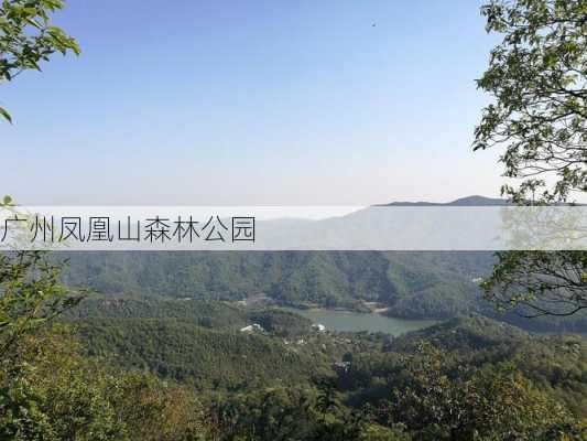 广州凤凰山森林公园