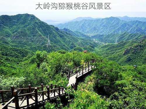 大岭沟猕猴桃谷风景区