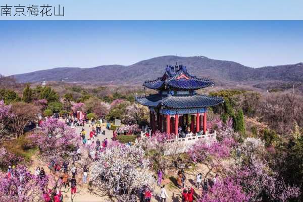 南京梅花山