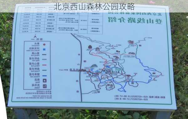 北京西山森林公园攻略